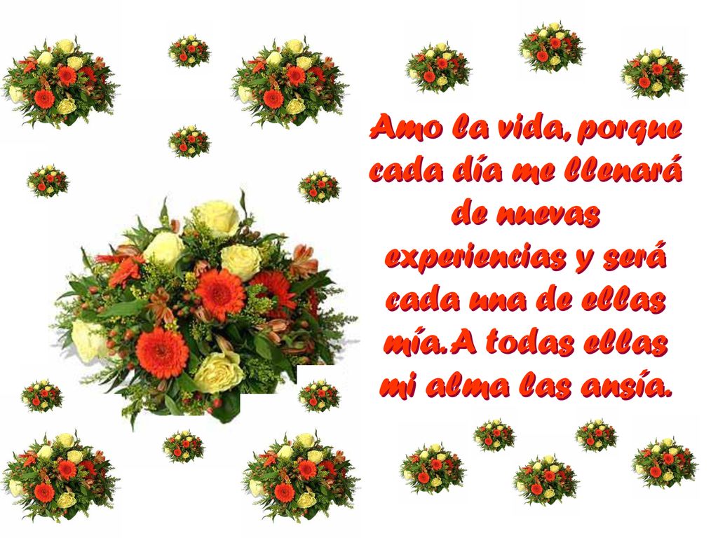 Amo la vida, porque cada día me llenará de nuevas experiencias y será cada una de ellas mía.