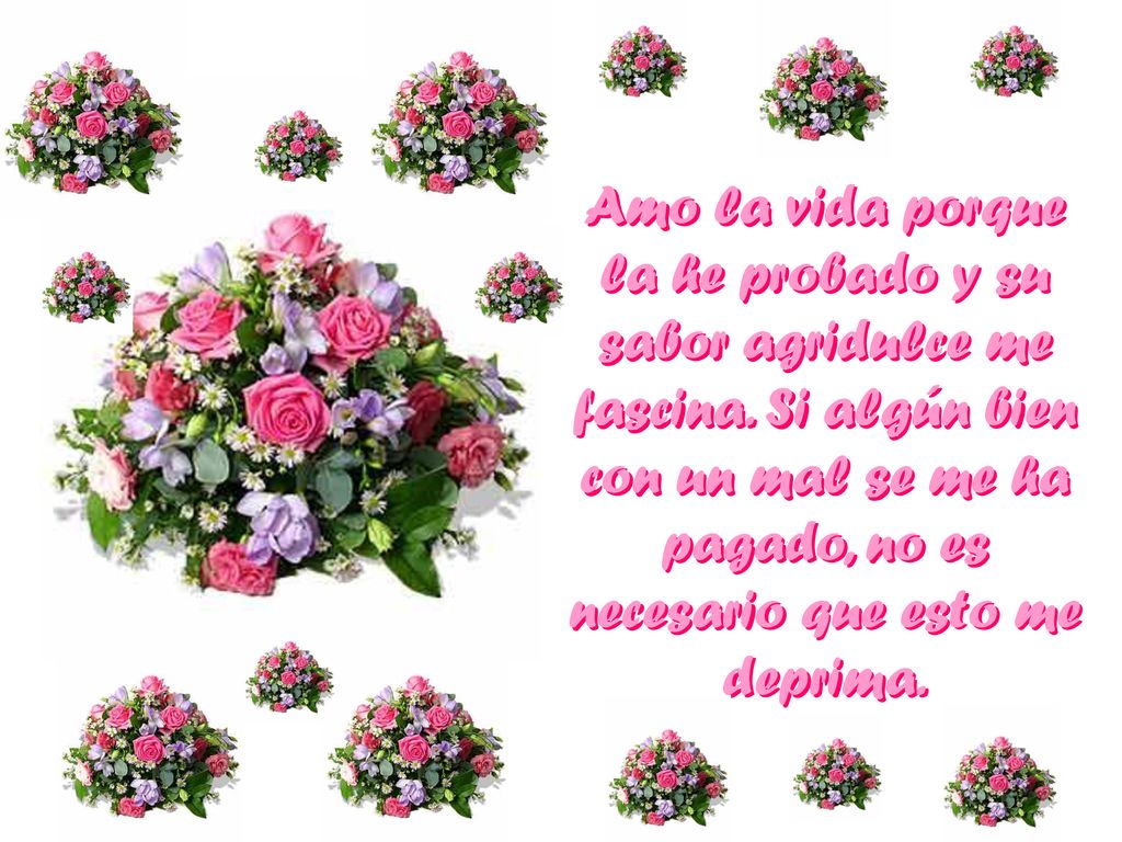 Amo la vida porque la he probado y su sabor agridulce me fascina