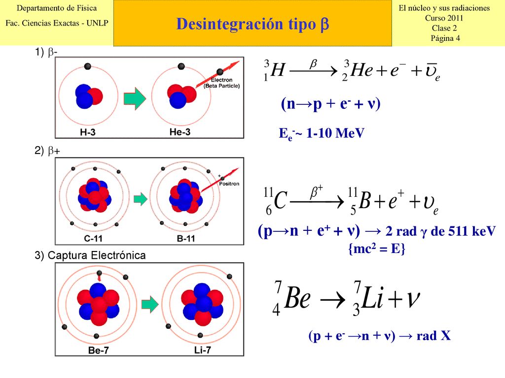 (p→n + e+ + ν) → 2 rad γ de 511 keV