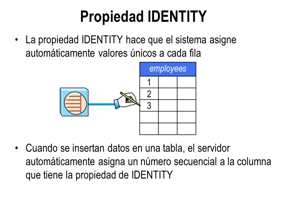 Propiedad IDENTITY La propiedad IDENTITY hace que el sistema asigne automáticamente valores únicos a cada fila.