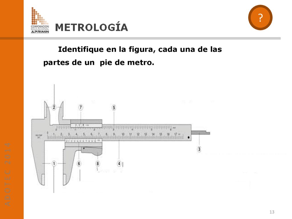 Identifique en la figura, cada una de las partes de un pie de metro.