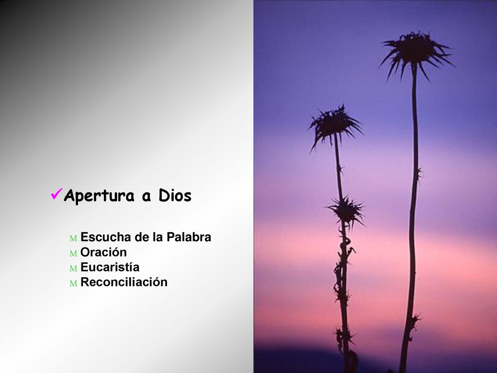 Apertura a Dios M Escucha de la Palabra M Oración M Eucaristía