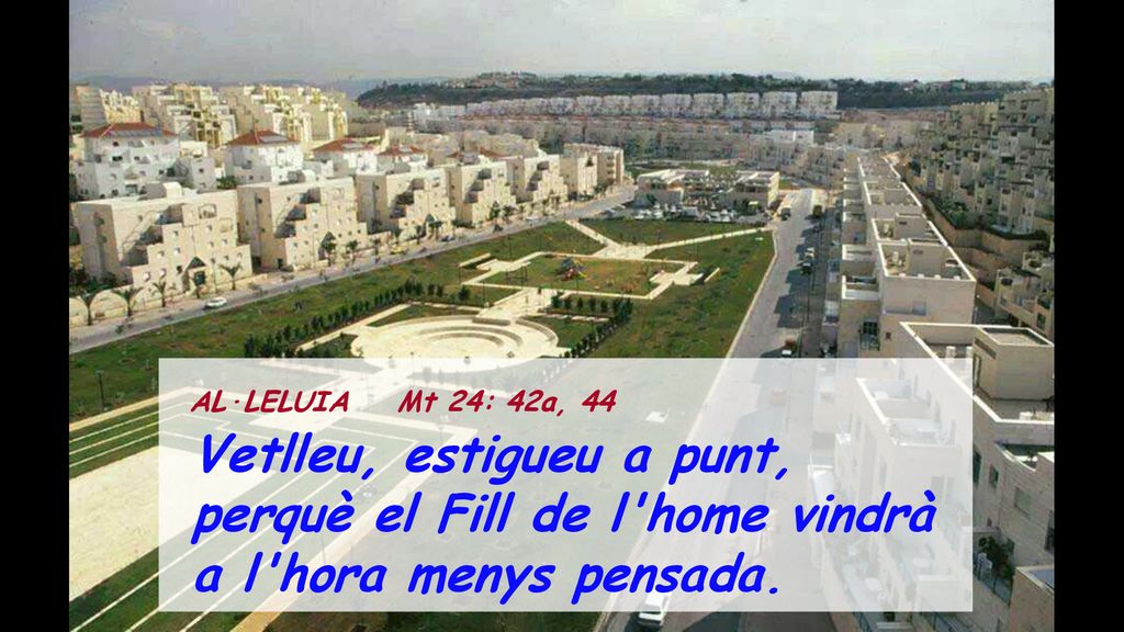 Vetlleu, estigueu a punt, perquè el Fill de l home vindrà