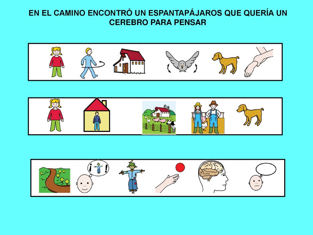 EN EL CAMINO ENCONTRÓ UN ESPANTAPÁJAROS QUE QUERÍA UN CEREBRO PARA PENSAR