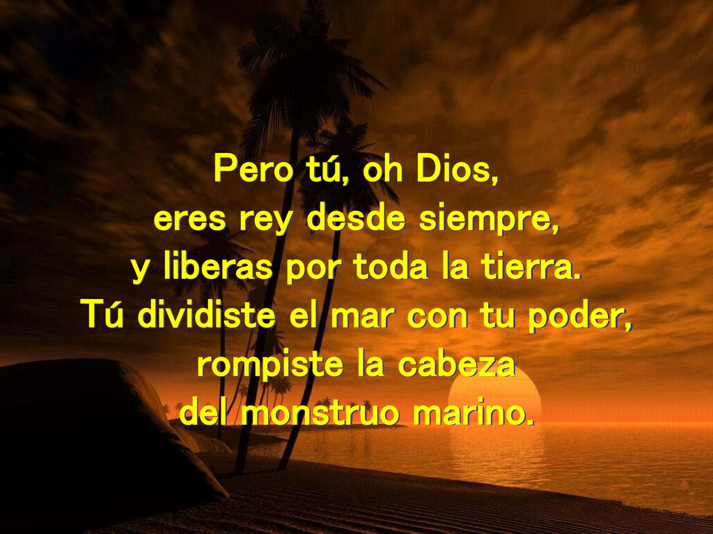 y liberas por toda la tierra. Tú dividiste el mar con tu poder,