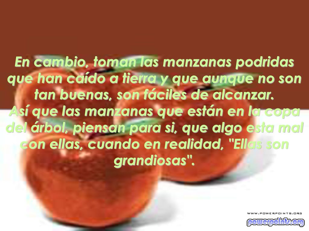 En cambio, toman las manzanas podridas que han caído a tierra y que aunque no son tan buenas, son fáciles de alcanzar.
