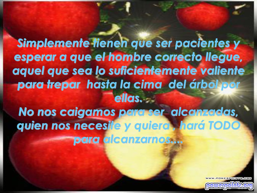 Simplemente tienen que ser pacientes y esperar a que el hombre correcto llegue, aquel que sea lo suficientemente valiente para trepar hasta la cima del árbol por ellas.