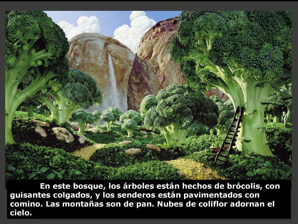 En este bosque, los árboles están hechos de brócolis, con guisantes colgados, y los senderos están pavimentados con comino.