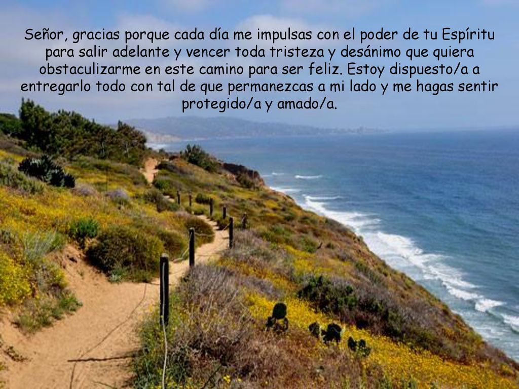 Señor, gracias porque cada día me impulsas con el poder de tu Espíritu para salir adelante y vencer toda tristeza y desánimo que quiera obstaculizarme en este camino para ser feliz.