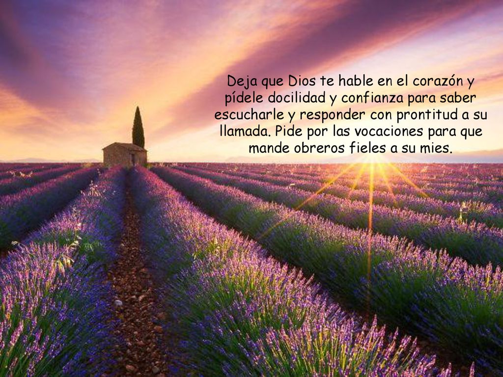 Deja que Dios te hable en el corazón y pídele docilidad y confianza para saber escucharle y responder con prontitud a su llamada.