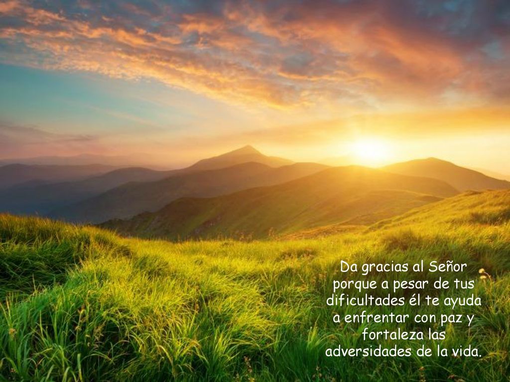 Da gracias al Señor porque a pesar de tus dificultades él te ayuda a enfrentar con paz y fortaleza las adversidades de la vida.