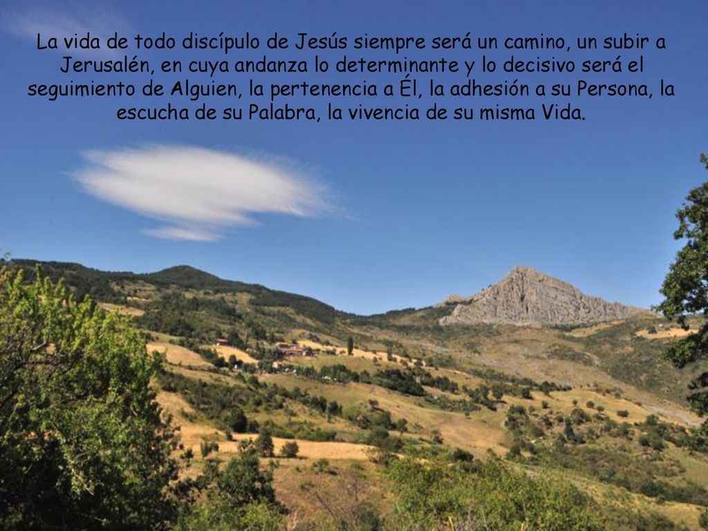 La vida de todo discípulo de Jesús siempre será un camino, un subir a Jerusalén, en cuya andanza lo determinante y lo decisivo será el seguimiento de Alguien, la pertenencia a Él, la adhesión a su Persona, la escucha de su Palabra, la vivencia de su misma Vida.