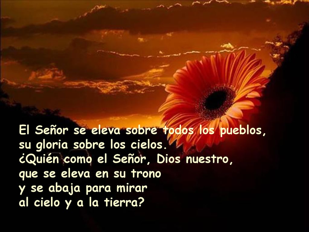 El Señor se eleva sobre todos los pueblos, su gloria sobre los cielos