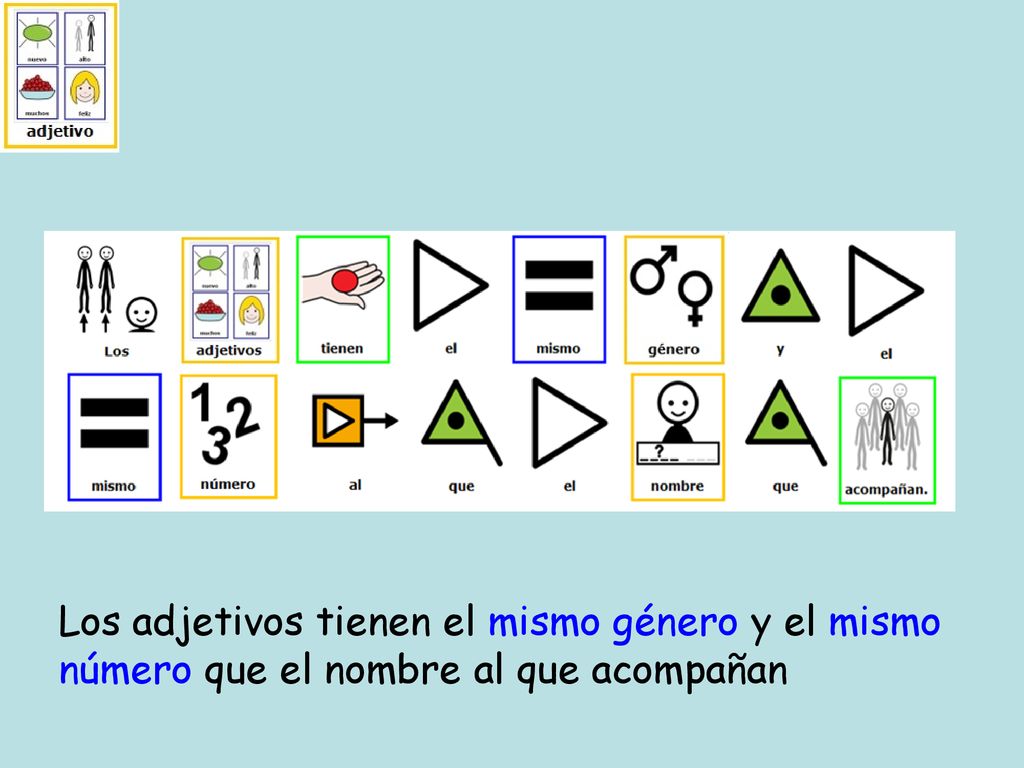Los adjetivos tienen el mismo género y el mismo número que el nombre al que acompañan
