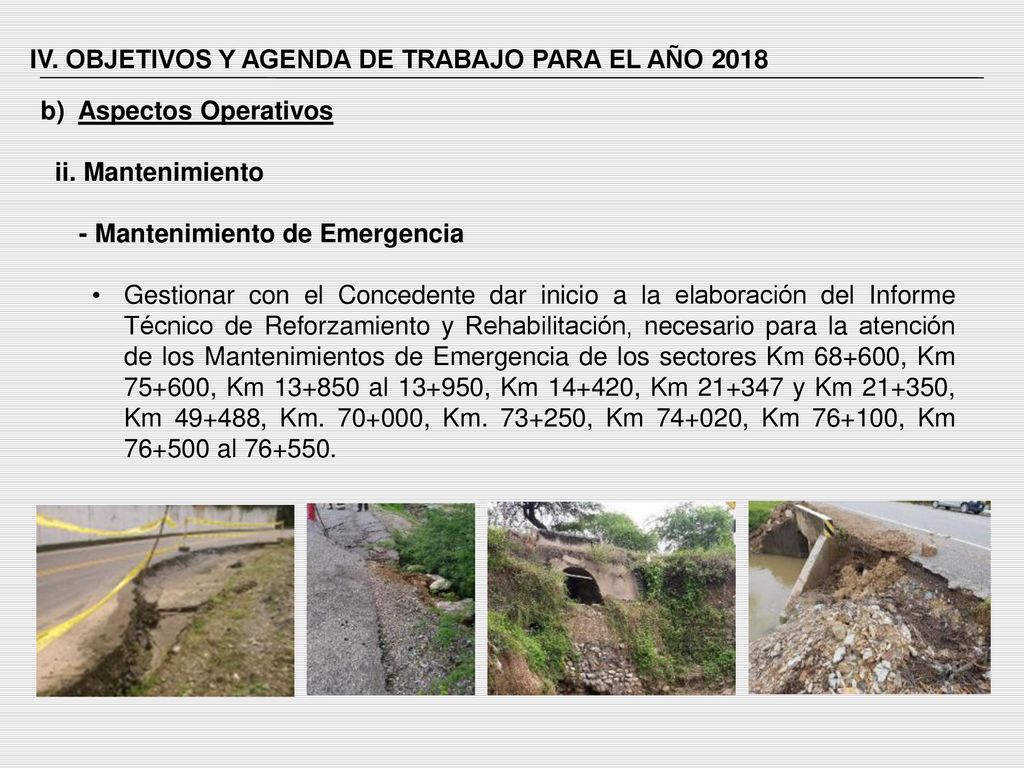 IV. OBJETIVOS Y AGENDA DE TRABAJO PARA EL AÑO 2018