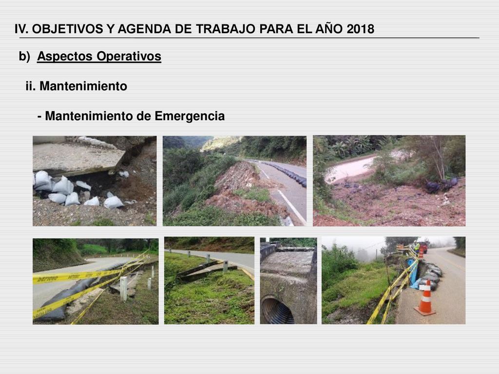 IV. OBJETIVOS Y AGENDA DE TRABAJO PARA EL AÑO 2018
