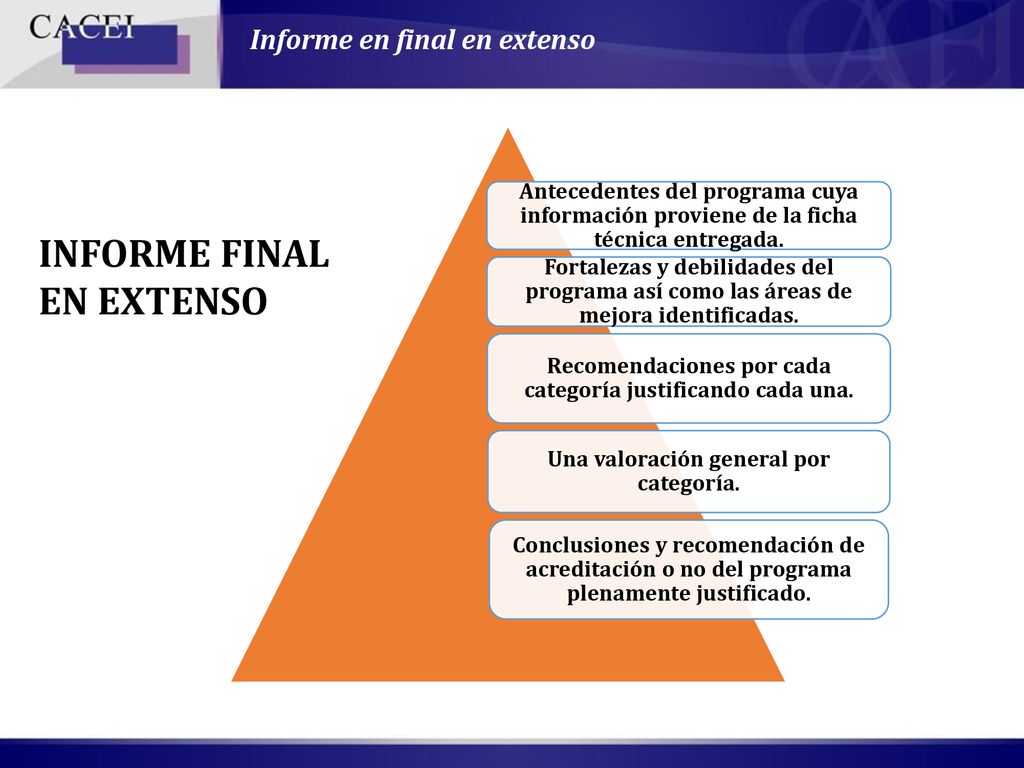 INFORME FINAL EN EXTENSO Informe en final en extenso