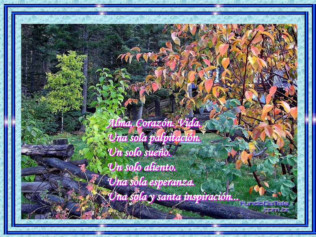 Alma. Corazón. Vida. Una sola palpitación. Un solo sueño