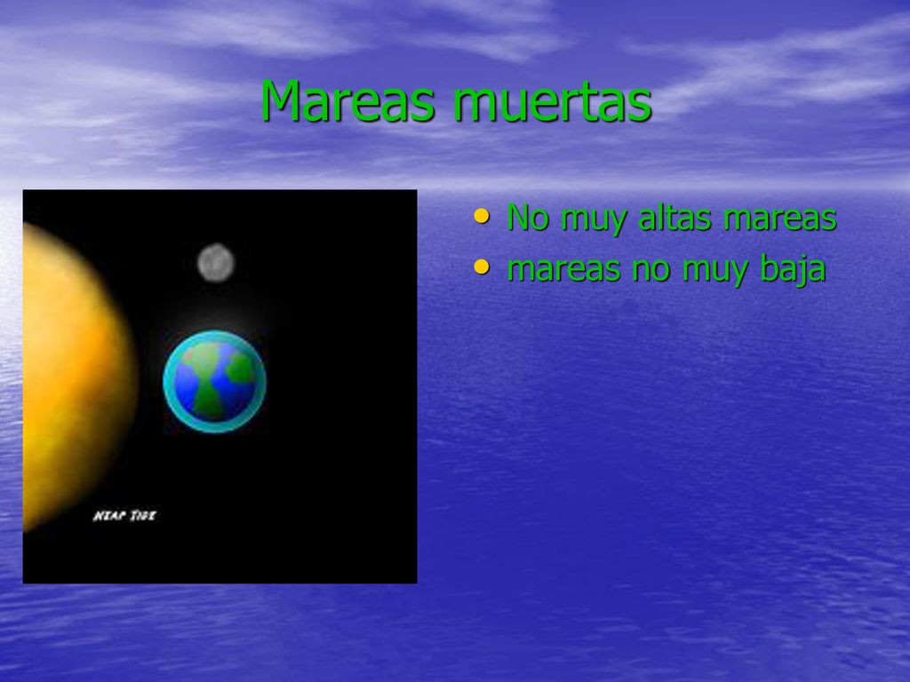 Mareas muertas No muy altas mareas mareas no muy baja