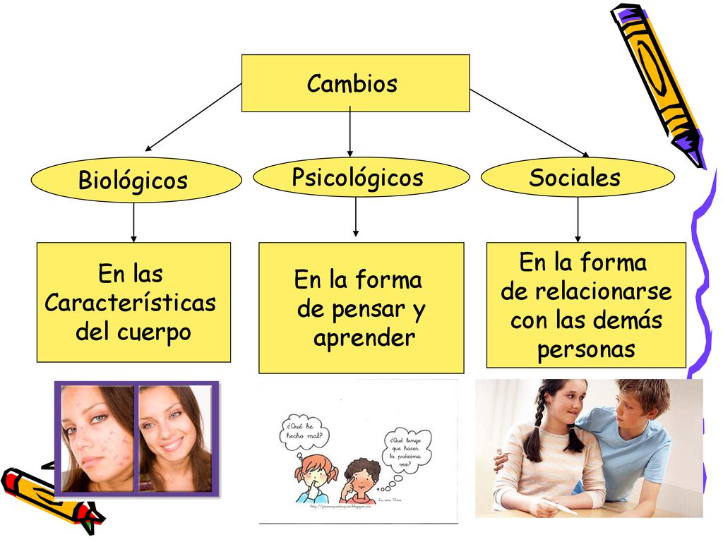 Cambios Biológicos. Psicológicos. Sociales. En las. Características. del cuerpo. En la forma.