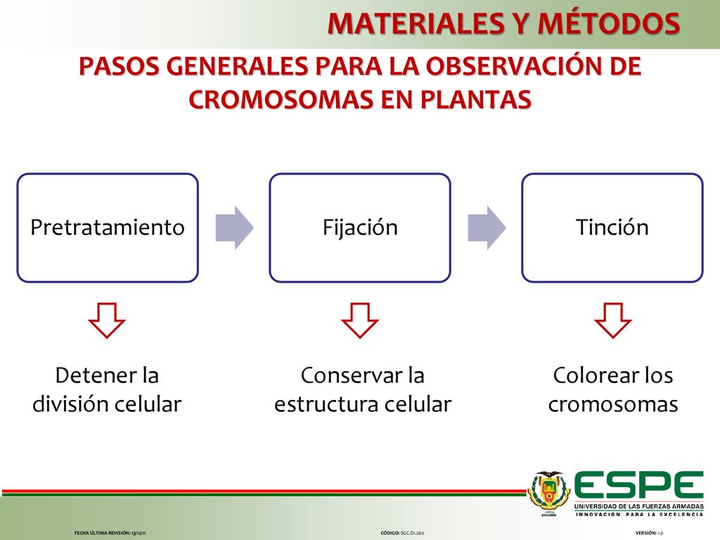 MATERIALES Y MÉTODOS PASOS GENERALES PARA LA OBSERVACIÓN DE CROMOSOMAS EN PLANTAS. Pretratamiento.