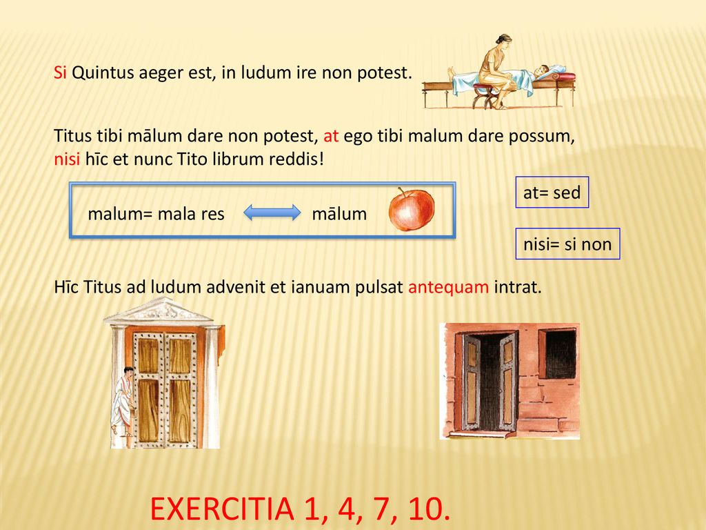 EXERCITIA 1, 4, 7, 10. Si Quintus aeger est, in ludum ire non potest.