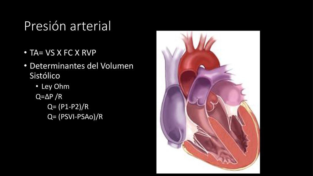 Presión arterial TA= VS X FC X RVP Determinantes del Volumen Sistólico
