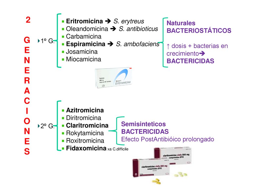2 G E N R A C I O S Eritromicina  S. erytreus Naturales