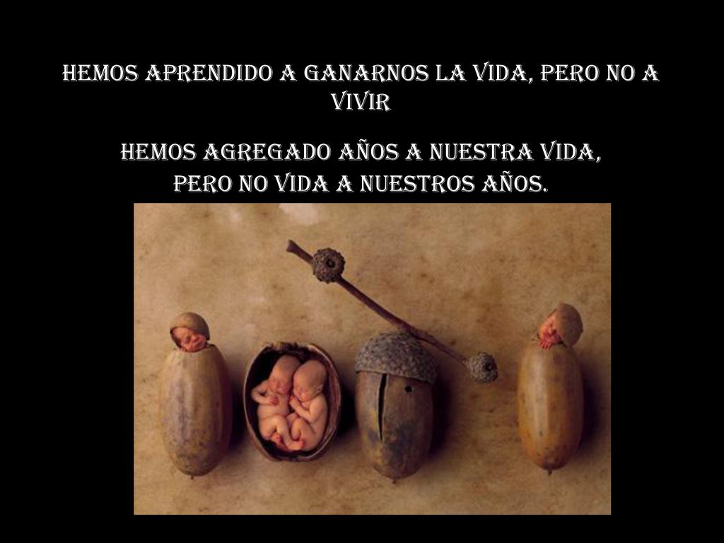 Hemos aprendido a ganarnos la vida, pero no a vivir