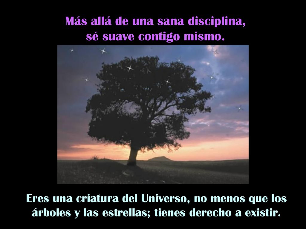 Más allá de una sana disciplina, sé suave contigo mismo.