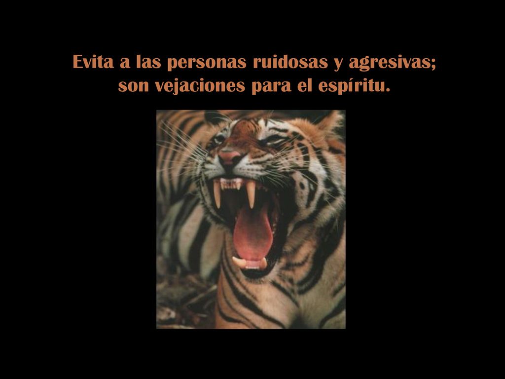 Evita a las personas ruidosas y agresivas; son vejaciones para el espíritu.