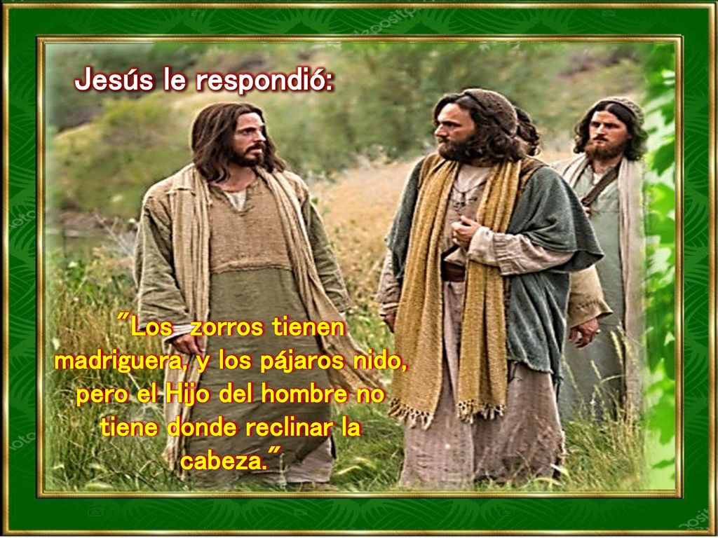 Jesús le respondió: Los zorros tienen madriguera, y los pájaros nido, pero el Hijo del hombre no tiene donde reclinar la cabeza.