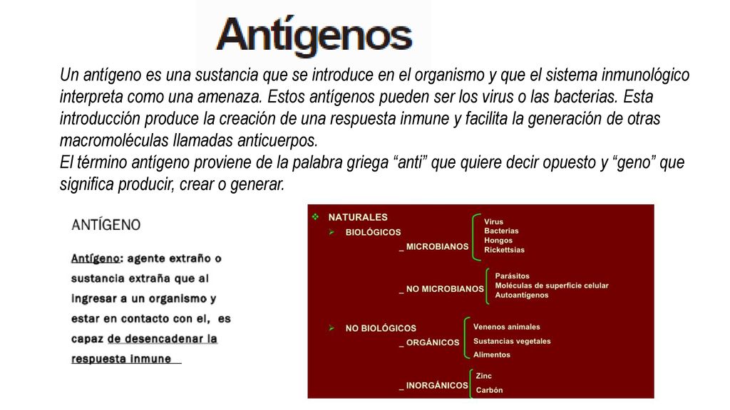 Un antígeno es una sustancia que se introduce en el organismo y que el sistema inmunológico interpreta como una amenaza. Estos antígenos pueden ser los virus o las bacterias. Esta introducción produce la creación de una respuesta inmune y facilita la generación de otras macromoléculas llamadas anticuerpos.