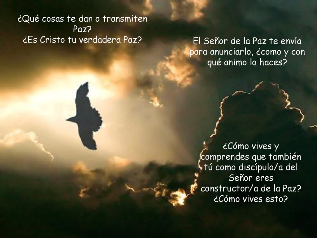 ¿Qué cosas te dan o transmiten Paz ¿Es Cristo tu verdadera Paz