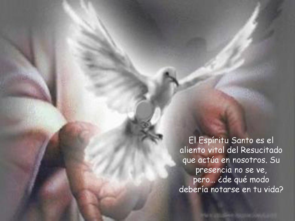 El Espíritu Santo es el aliento vital del Resucitado que actúa en nosotros.