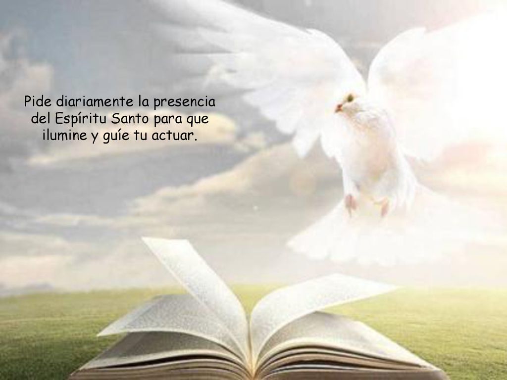 Pide diariamente la presencia del Espíritu Santo para que ilumine y guíe tu actuar.