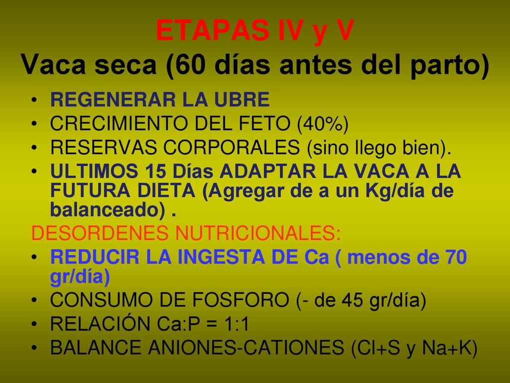 ETAPAS IV y V Vaca seca (60 días antes del parto)