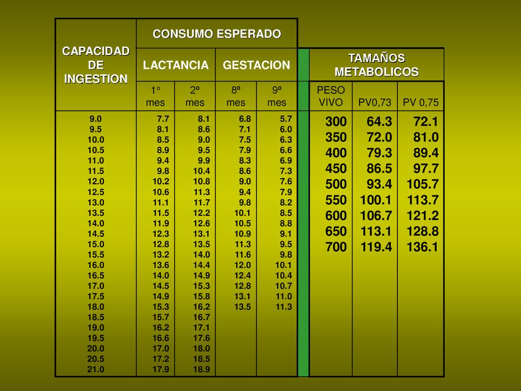 CAPACIDAD DE. INGESTION. CONSUMO ESPERADO. LACTANCIA. GESTACION. TAMAÑOS METABOLICOS. 1° mes.