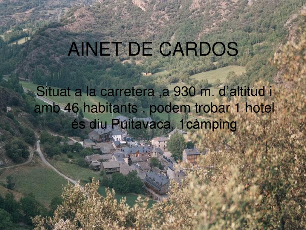 AINET DE CARDOS Situat a la carretera ,a 930 m.