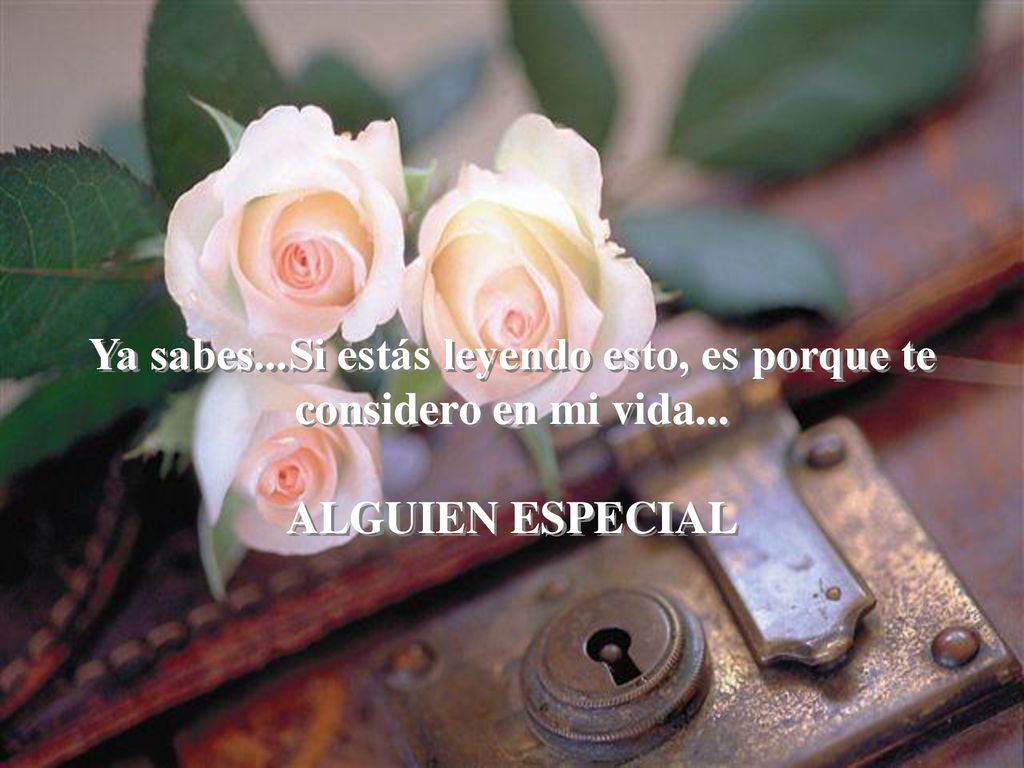 Ya sabes. Si estás leyendo esto, es porque te considero en mi vida