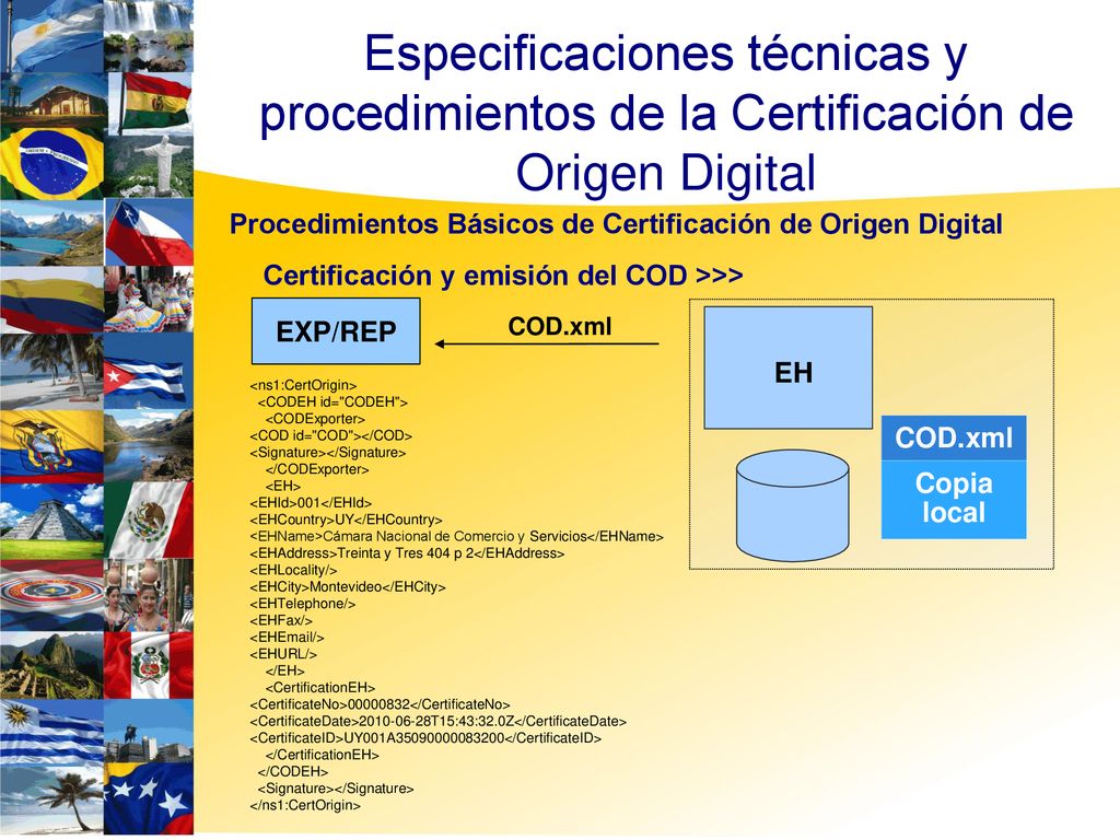 6060 Especificaciones técnicas y procedimientos de la Certificación de Origen Digital. Procedimientos Básicos de Certificación de Origen Digital.