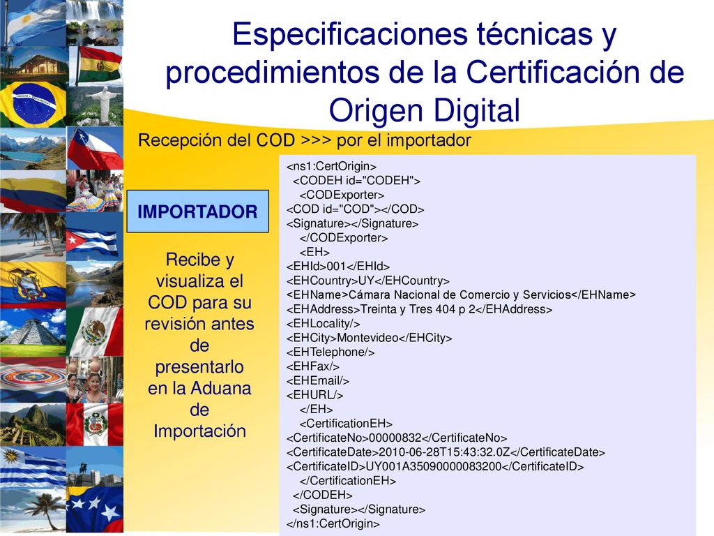 6262 Especificaciones técnicas y procedimientos de la Certificación de Origen Digital. Recepción del COD >>> por el importador.