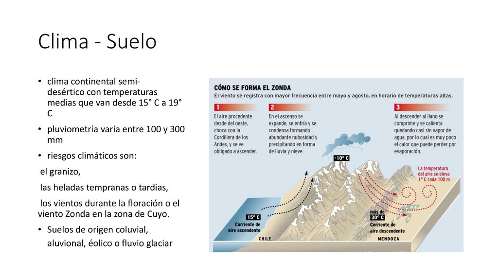 Clima - Suelo clima continental semi- desértico con temperaturas medias que van desde 15° C a 19° C.