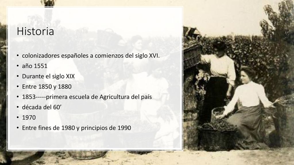 Historia colonizadores españoles a comienzos del siglo XVI. año 1551