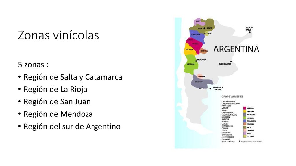 Zonas vinícolas 5 zonas : Región de Salta y Catamarca