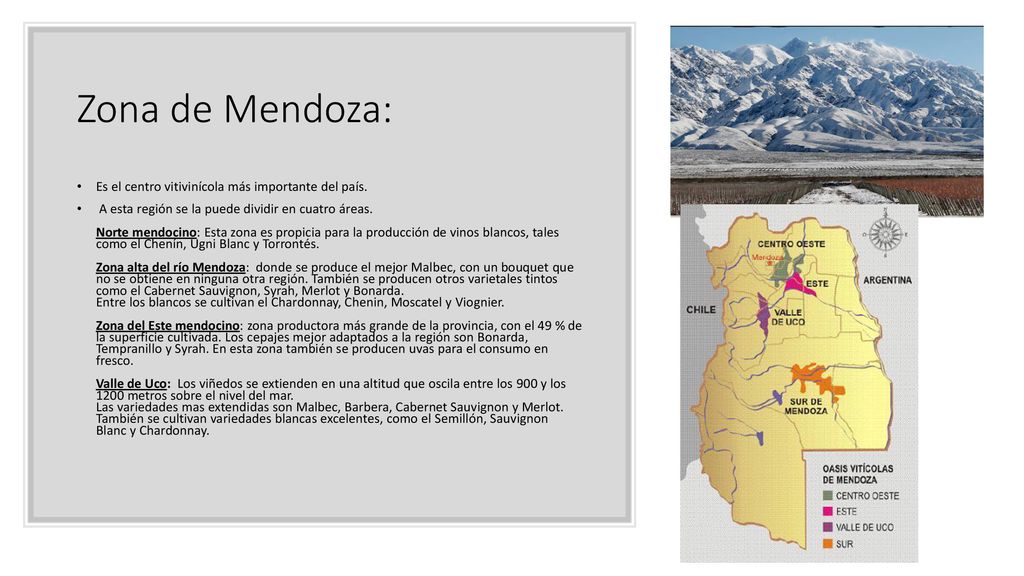 Zona de Mendoza: Es el centro vitivinícola más importante del país.