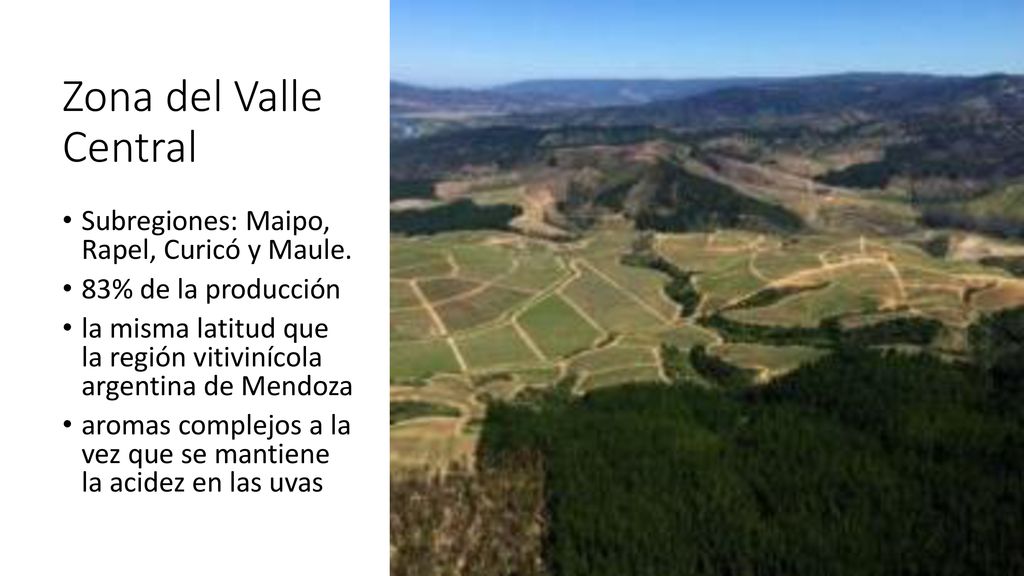 Zona del Valle Central Subregiones: Maipo, Rapel, Curicó y Maule.