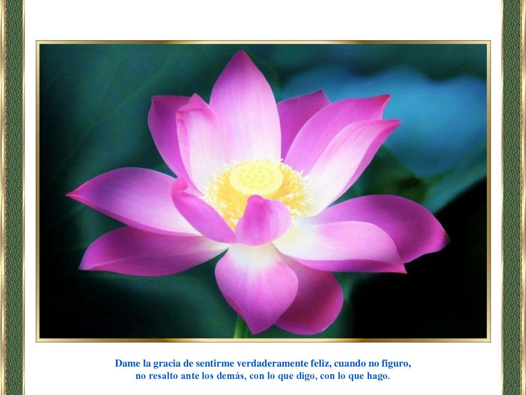 Dame la gracia de sentirme verdaderamente feliz, cuando no figuro,
