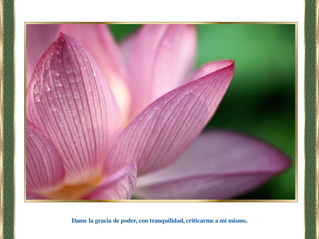 Dame la gracia de poder, con tranquilidad, criticarme a mi mismo.