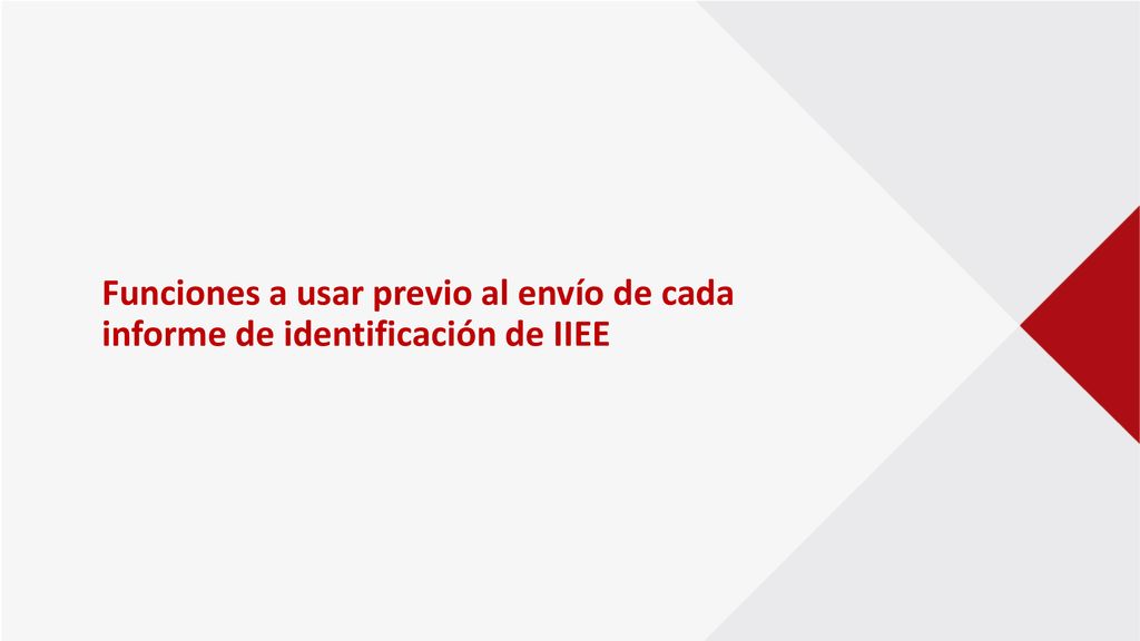 Funciones a usar previo al envío de cada informe de identificación de IIEE